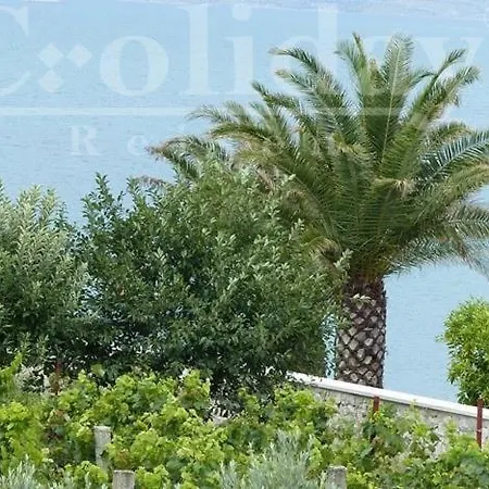 Apartmán 531