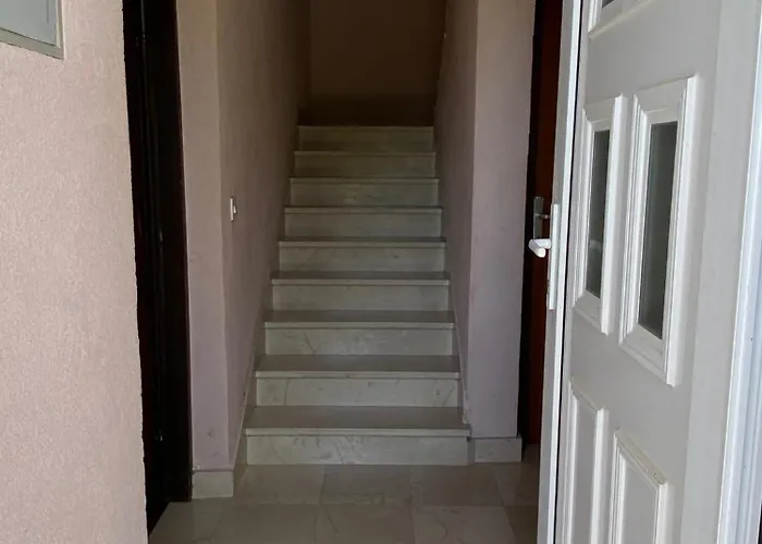 531
