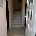 531