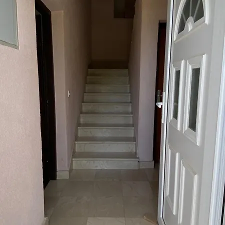 531